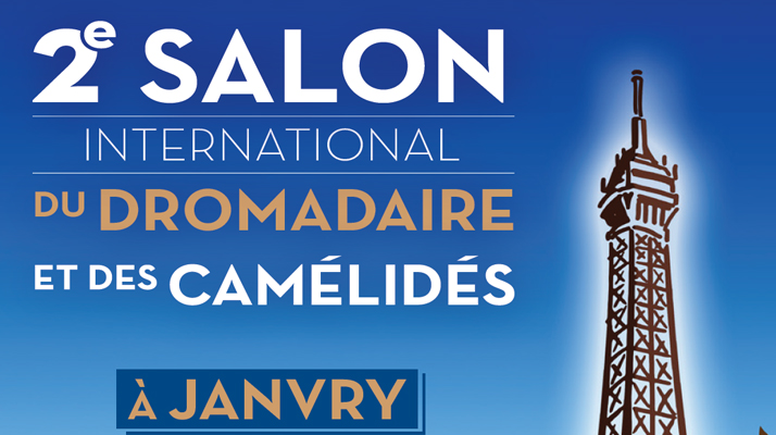  Essonne. Le deuxième salon international du dromadaire et des camélidés se déroulera ce week-end à Janvry